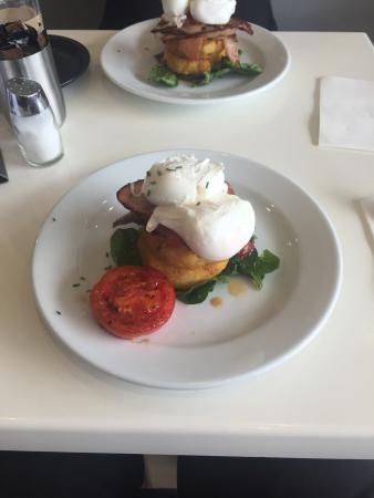 Hillsborough NSW Cruises Travel