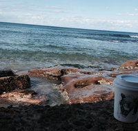 Little Paw Espresso - Tourism Guide