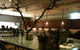 Biota Dining - thumb 0