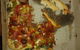 Domino's Pizza - thumb 0