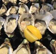 The Oyster Shed - Cruises Travel