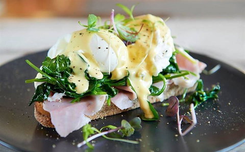 Albert & Moore - Travel Agents 10