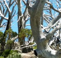 Alpine Eyre - Travel Agents