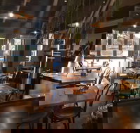 Cafe Amoeba - Cruises Travel