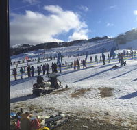 Snow Gums - Travel Agents