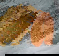 Chipp Inn - Travel Agents