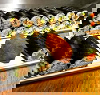 Freewave Sushi  Burgers - Travel Agents