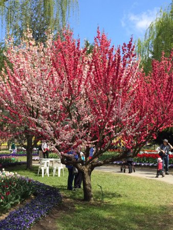 Mirchi Indian Cuisine - Tourism Guide 0