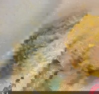 Champs Bistro - Travel Search