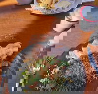 Painted Horse Cafe - Tourism Guide