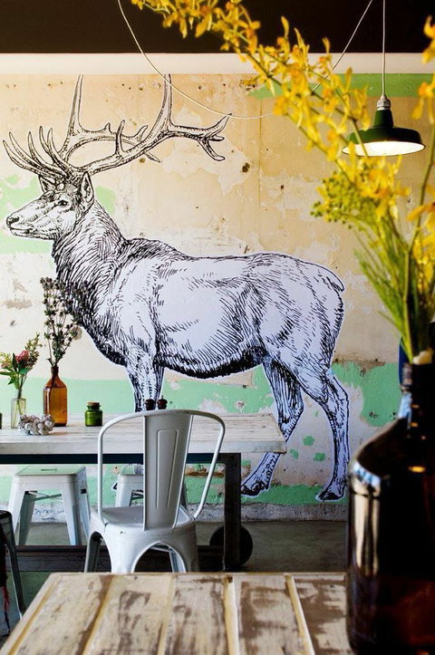 Elk Espresso - Tourism Guide 0