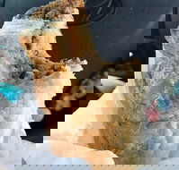 Foster's Bakery - Travel Search