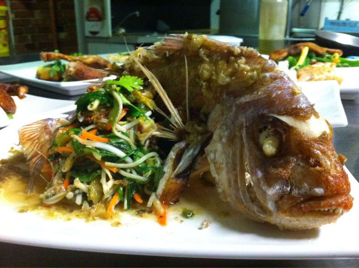 Traralgon VIC Travel Search