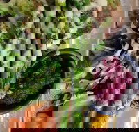 D For Dumplings - Travel Agents