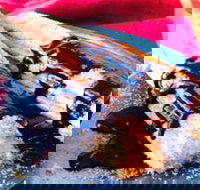 Donut King - Point Cook - Travel Search