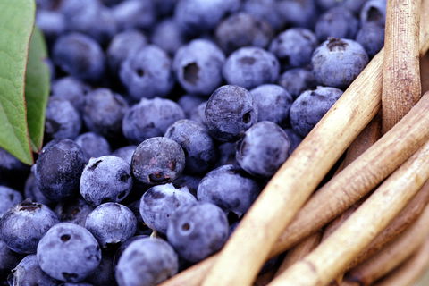 Drum Drum Blueberry Farm - Cruises Travel 0