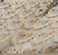 Fairfield Bakery - Travel Agents