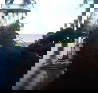 The 3844 - Travel Search