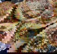 The Re Store Northbridge - Travel Search