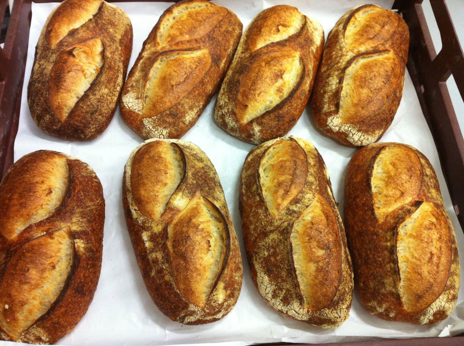 Toorak VIC Travel Agents