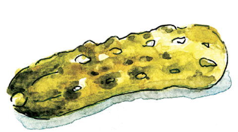 Gherkin Garden By Bethany Wines - Travel Search 1