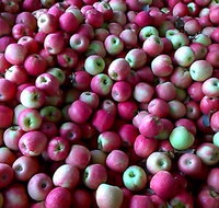 Hillside Harvest