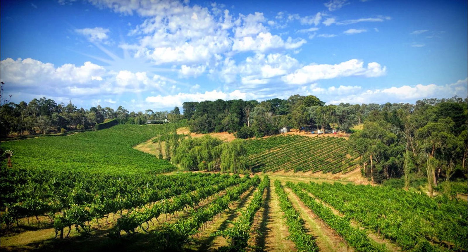 Wonga Park VIC Travel Search