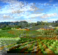 Kellybrook Winery and Kelly Brothers Cider - Travel Search