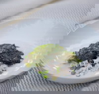 Moxhe - Travel Agents