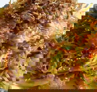 Saigon - Tourism Guide