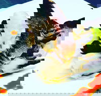 Dumpling Yum Cha Ballina - Travel Agents