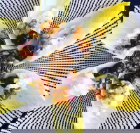 Food Business  Chapel Hill - Travel Search