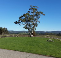 Nepenthe Wines - Tourism Guide
