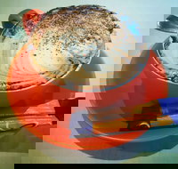 Phillips  Co - Travel Agents