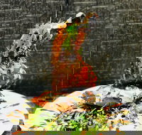 Pinch of Spice Melbourne