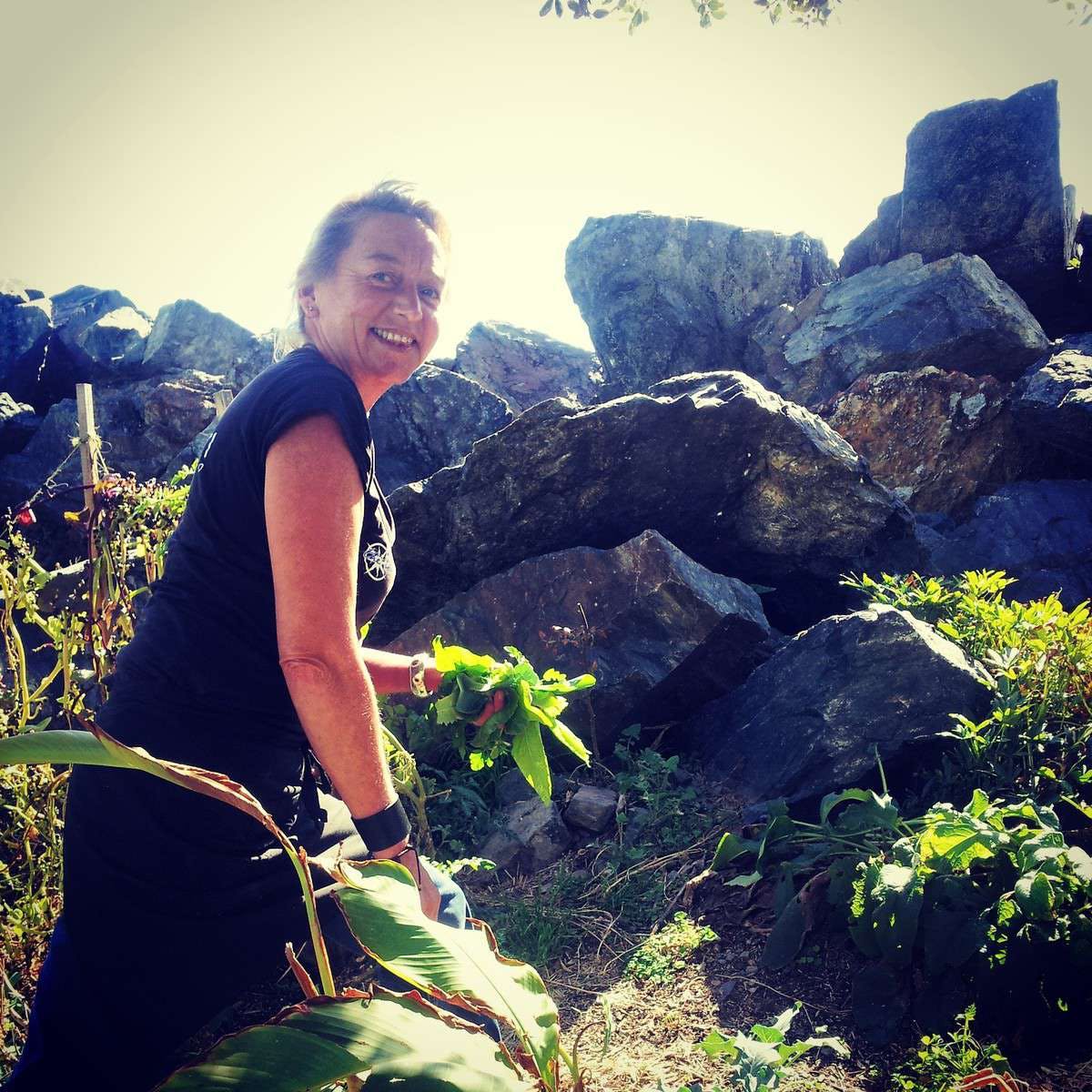 Bucca NSW Travel Agents