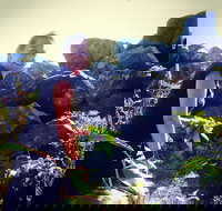 The Galley - Travel Agents