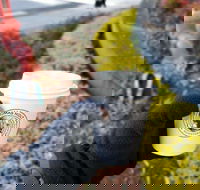 Thomas Holt Roasters - Travel Search