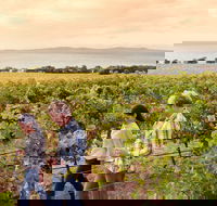 Boston Bay Wines - Cruises Travel
