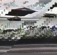 D Cafe - Cruises Travel