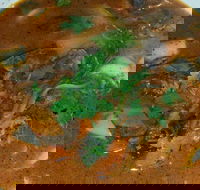 Four Figs - Travel Agents