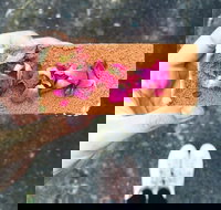 Monty's - Travel Search