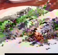 YaYa Bar and Eatery - Travel Agents