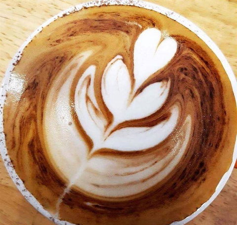 Nautilus - Travel Search 11