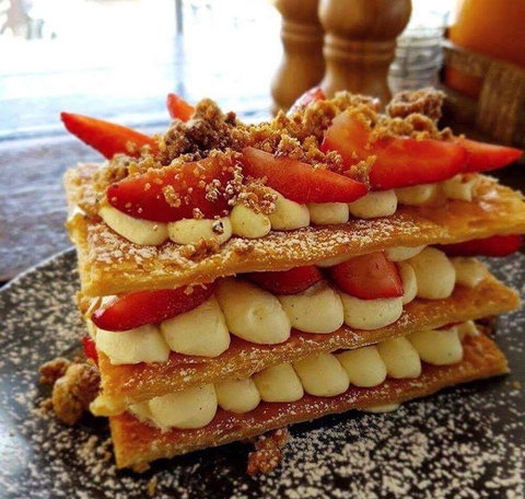 Nautilus - Travel Search 12