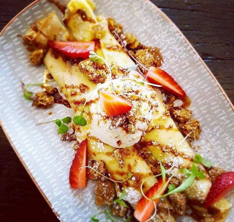 Nautilus - Travel Search 1