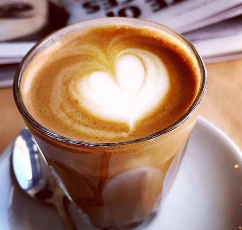 Nautilus - Travel Search 21