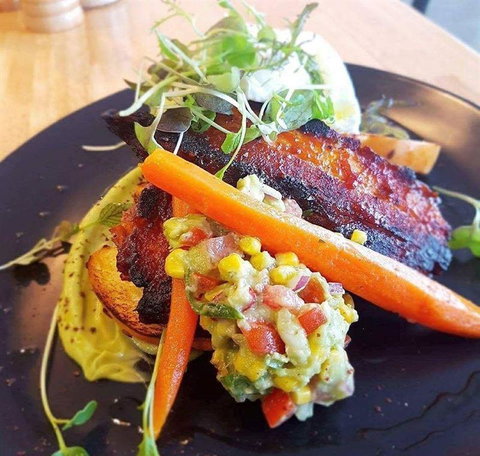 Nautilus - Travel Search 26