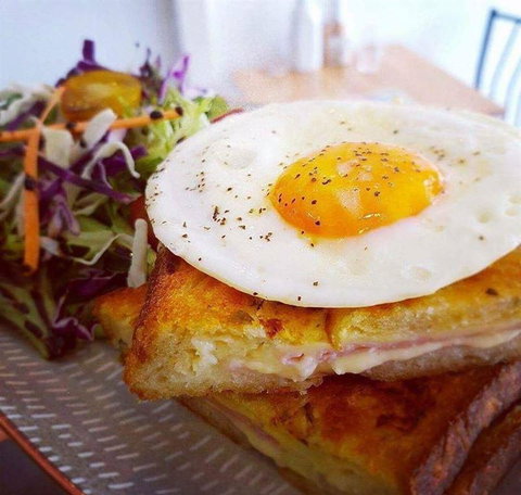 Nautilus - Travel Search 28