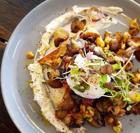 Nautilus - Travel Search 32